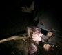 Filename=113VampireDiaries1128.jpg
Filesize=42KiB
Dimensions=1280x720
Date added=Oct 01, 2021 113VampireDiaries1128.jpg