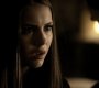 115VampireDiaries0952.jpg