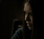 Filename=121VampireDiaries0489.jpg
Filesize=37KiB
Dimensions=1280x720
Date added=Oct 01, 2021 121VampireDiaries0489.jpg