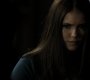 Filename=121VampireDiaries0505.jpg
Filesize=40KiB
Dimensions=1280x720
Date added=Oct 01, 2021 121VampireDiaries0505.jpg