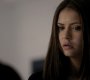 Filename=121VampireDiaries1038.jpg
Filesize=40KiB
Dimensions=1280x720
Date added=Oct 01, 2021 121VampireDiaries1038.jpg