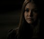 Filename=121VampireDiaries1055.jpg
Filesize=47KiB
Dimensions=1280x720
Date added=Oct 01, 2021 121VampireDiaries1055.jpg
