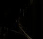 Filename=121VampireDiaries1498.jpg
Filesize=33KiB
Dimensions=1280x720
Date added=Oct 01, 2021 121VampireDiaries1498.jpg