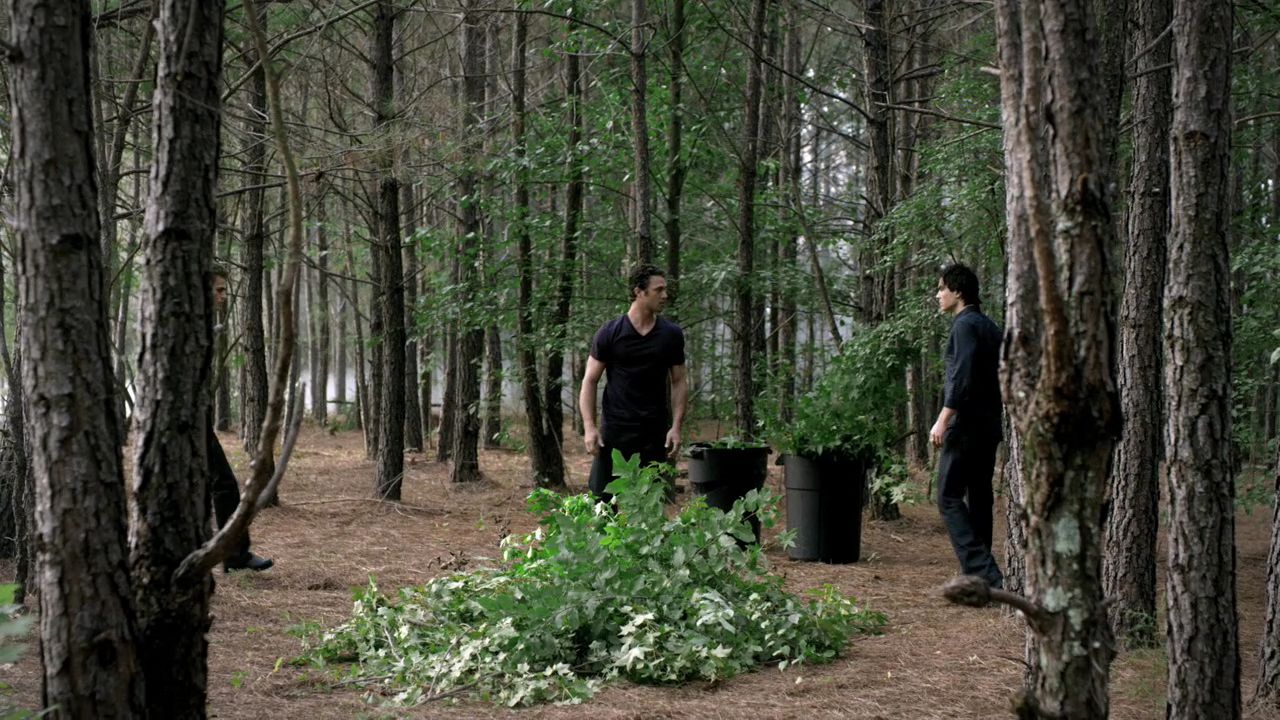 205VampireDiaries0880.jpg