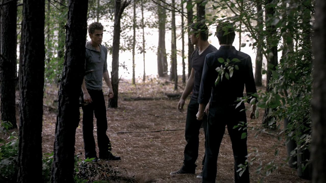 205VampireDiaries0887.jpg