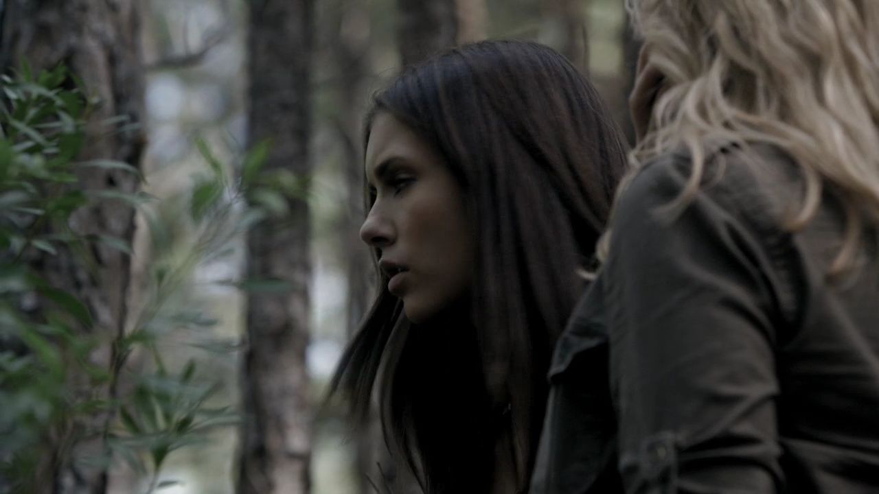 205VampireDiaries1101.jpg
