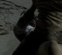 205VampireDiaries0027.jpg