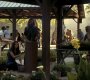 205VampireDiaries0509.jpg