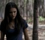205VampireDiaries1011.jpg