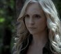 205VampireDiaries1042.jpg