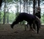 205VampireDiaries1051.jpg