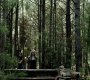 205VampireDiaries1094.jpg