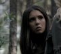 205VampireDiaries1107.jpg