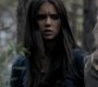 205VampireDiaries1113.jpg