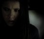 205VampireDiaries1151.jpg