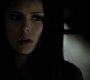 205VampireDiaries1161.jpg