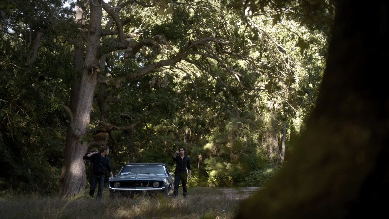 208VampireDiaries1254.jpg