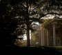 208VampireDiaries0214.jpg
