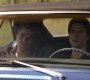 208VampireDiaries1076.jpg