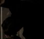 208VampireDiaries1476.jpg
