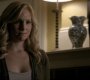 208VampireDiaries1689.jpg