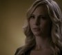 208VampireDiaries1708.jpg