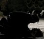 212VampireDiaries1061.jpg