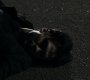 Filename=212VampireDiaries1622.jpg
Filesize=82KiB
Dimensions=1280x720
Date added=Feb 02, 2011 212VampireDiaries1622.jpg