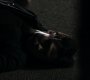 212VampireDiaries1625.jpg