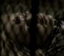 Filename=213VampireDiaries0727.jpg
Filesize=71KiB
Dimensions=1280x720
Date added=Feb 11, 2011 213VampireDiaries0727.jpg