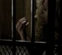 Filename=213VampireDiaries0733.jpg
Filesize=48KiB
Dimensions=1280x720
Date added=Feb 11, 2011 213VampireDiaries0733.jpg