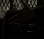 Filename=213VampireDiaries0741.jpg
Filesize=42KiB
Dimensions=1280x720
Date added=Feb 11, 2011 213VampireDiaries0741.jpg
