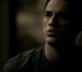 Filename=213VampireDiaries0807.jpg
Filesize=45KiB
Dimensions=1280x720
Date added=Feb 11, 2011 213VampireDiaries0807.jpg