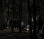 213VampireDiaries1073.jpg