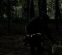 213VampireDiaries1075.jpg