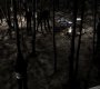 213VampireDiaries1076.jpg