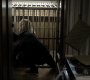 213VampireDiaries1144.jpg