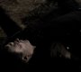213VampireDiaries1153.jpg