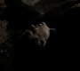 213VampireDiaries1172.jpg