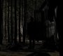 213VampireDiaries1210.jpg