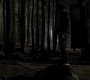 213VampireDiaries1224.jpg