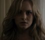 Filename=213VampireDiaries1389.jpg
Filesize=42KiB
Dimensions=1280x720
Date added=Feb 11, 2011 213VampireDiaries1389.jpg