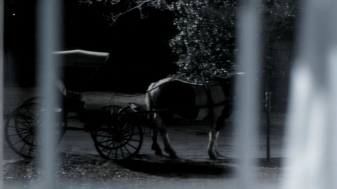 215VampireDiaries0020.jpg