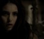 Filename=215VampireDiaries0552.jpg
Filesize=35KiB
Dimensions=1280x720
Date added=Feb 20, 2011 215VampireDiaries0552.jpg