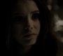 Filename=215VampireDiaries0592.jpg
Filesize=35KiB
Dimensions=1280x720
Date added=Feb 20, 2011 215VampireDiaries0592.jpg