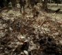 217VampireDiaries1179.jpg
