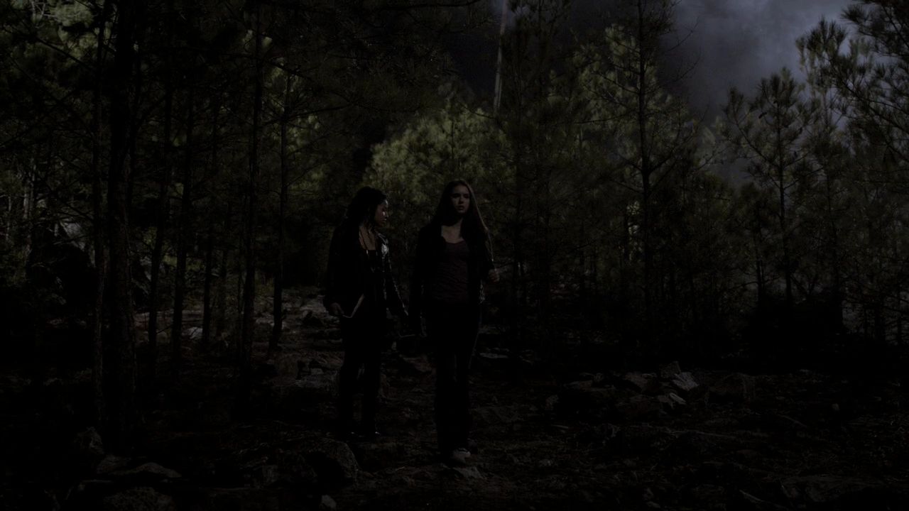 220VampireDiaries1784.jpg