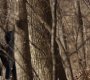 220VampireDiaries0780.jpg