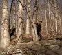 220VampireDiaries0782.jpg