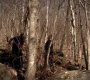 220VampireDiaries0786.jpg